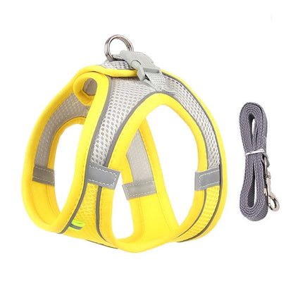 Paw Secure Harness & Leash Set - LOVON