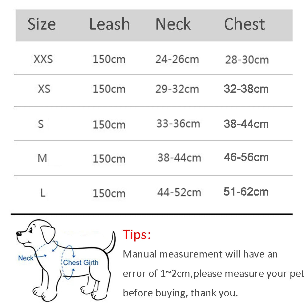 Paw Secure Harness & Leash Set - LOVON