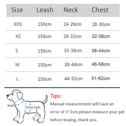 Paw Secure Harness & Leash Set - LOVON