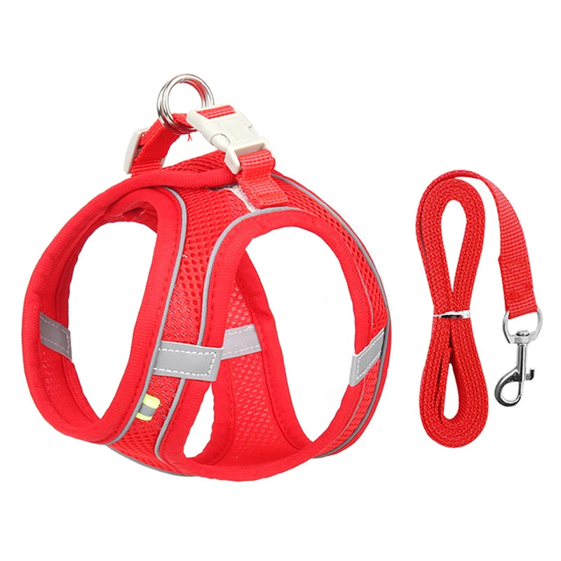 Paw Secure Harness & Leash Set - LOVON