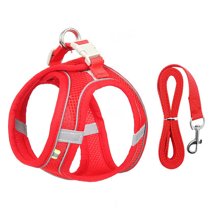 Paw Secure Harness & Leash Set - LOVON