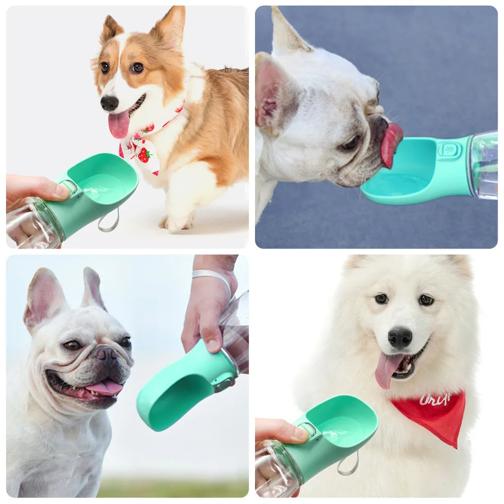 Hydra Paw Travel Bottle - LOVON