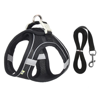 Paw Secure Harness & Leash Set - LOVON