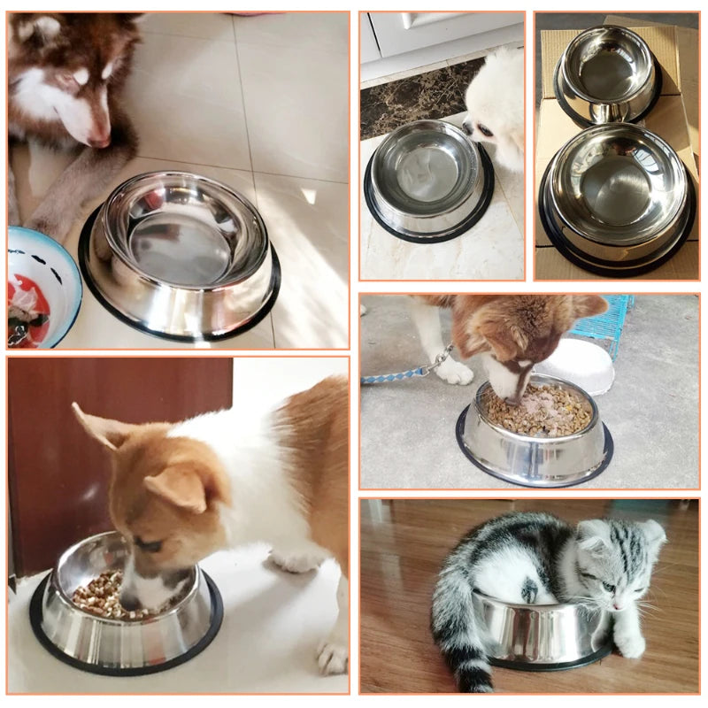 Paw Feast Stainless Steel Pet Bowl - LOVON