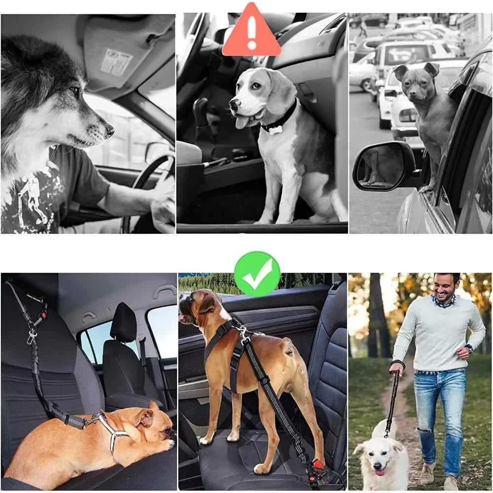 Safe Ride Dual Dog Seatbelt - LOVON