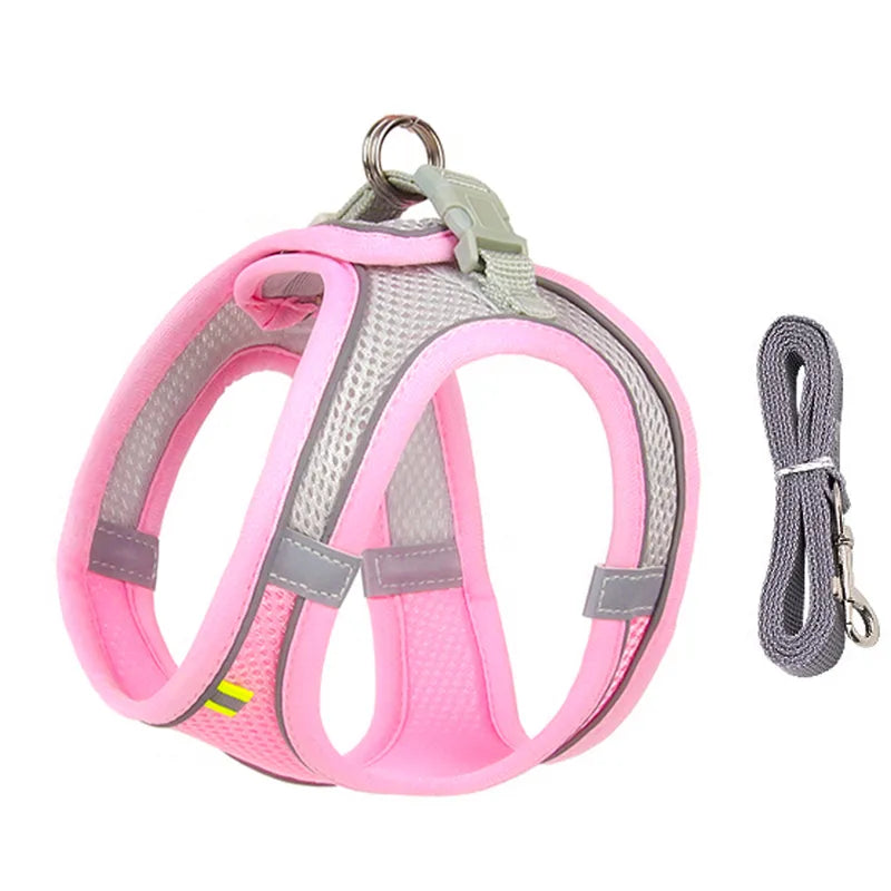 Paw Secure Harness & Leash Set - LOVON