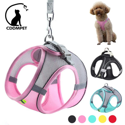 Paw Secure Harness & Leash Set - LOVON