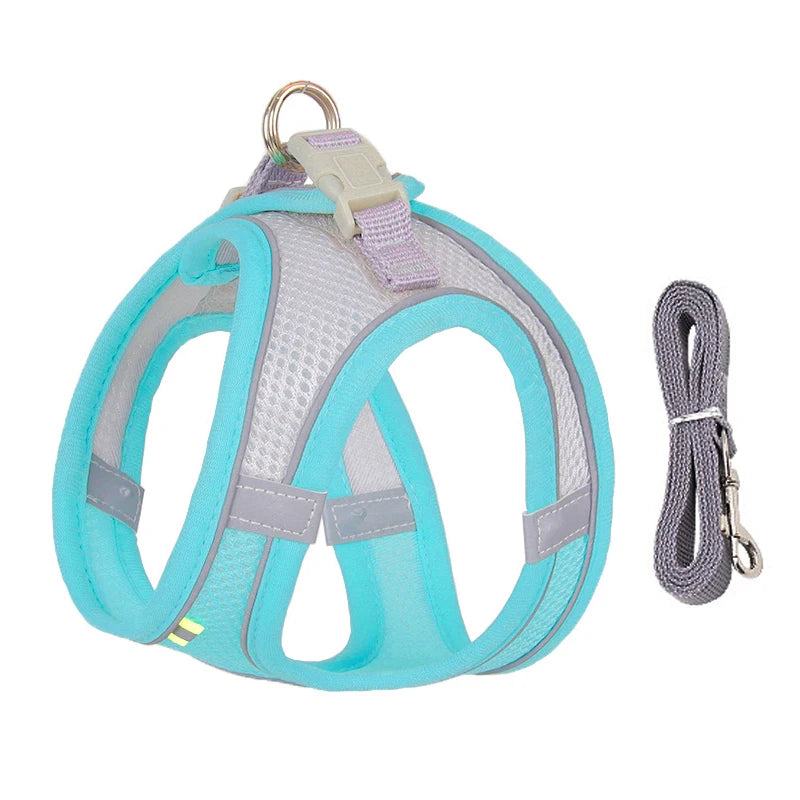 Paw Secure Harness & Leash Set - LOVON